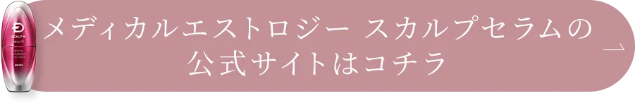 公式サイトはコチラ